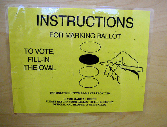 Voting instructions